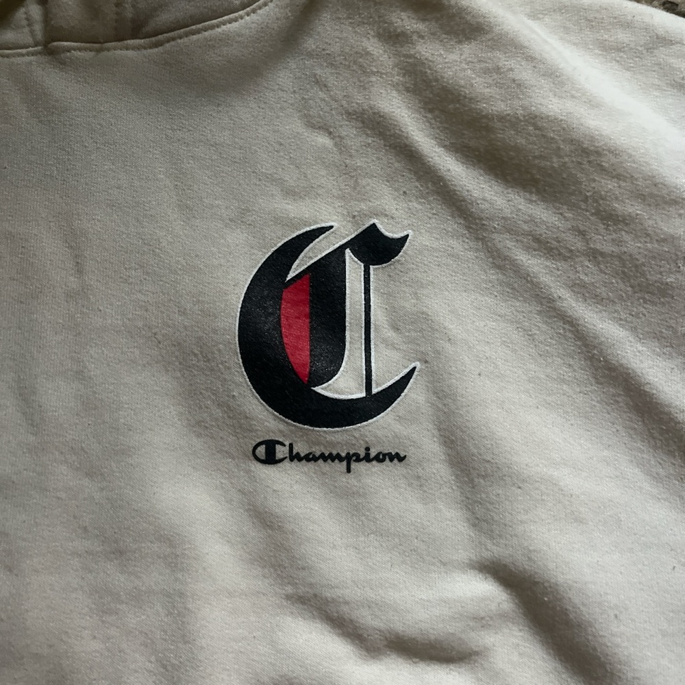 Champion Men’s Hoodie